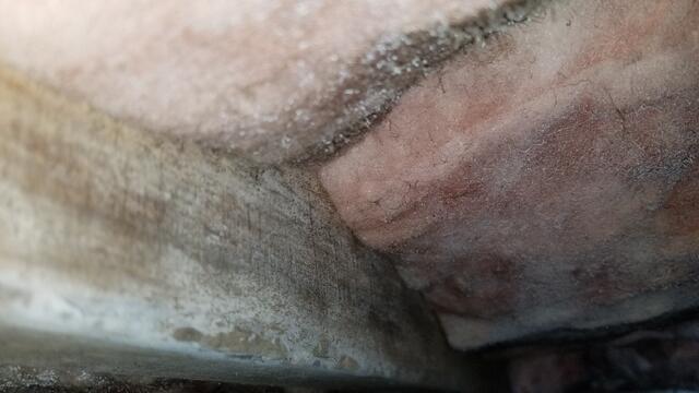 Mold