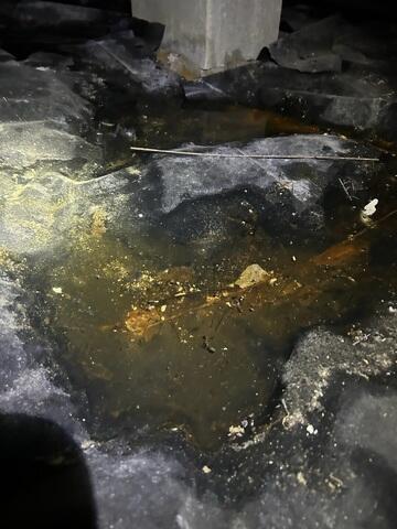 Standing Water