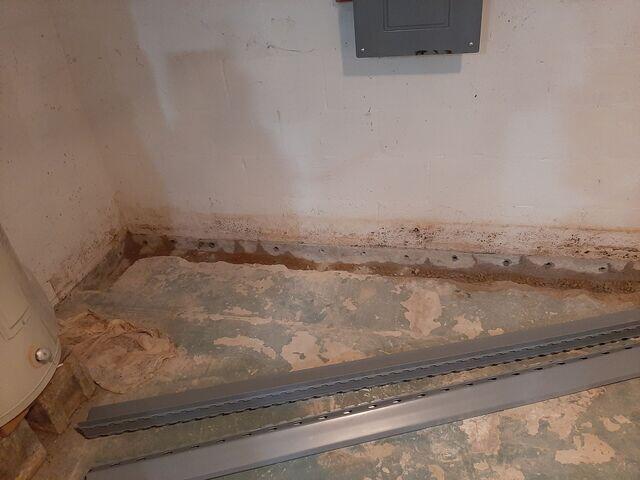 Area Cleaned Up