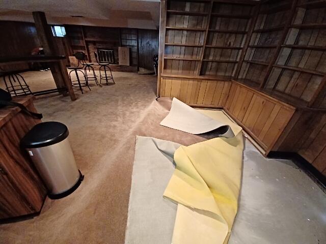 Wet Basement
