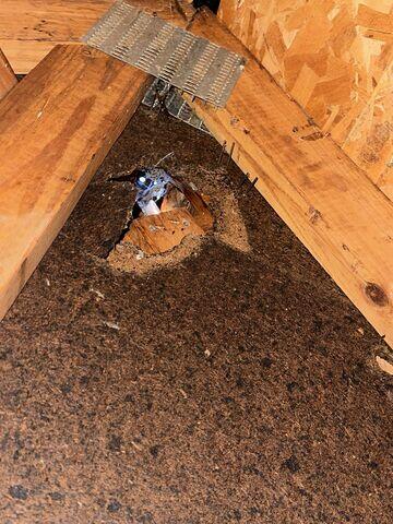 Gaping Hole in Roof