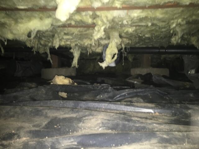 Drooping Fiberglass