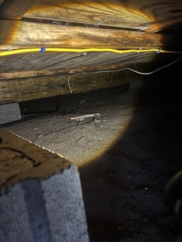 Damp Wooden Support Beams