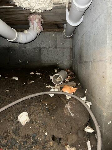 Damp Dirt Floor