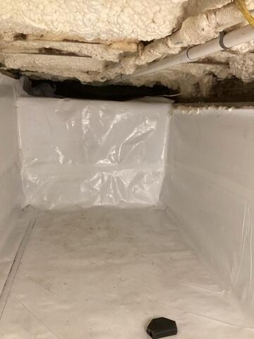 CleanSpace Encapsulation
