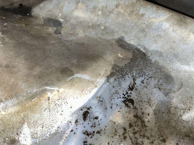 Mold