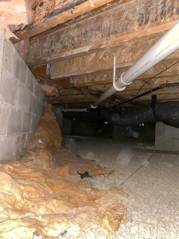 Fallen Insulation