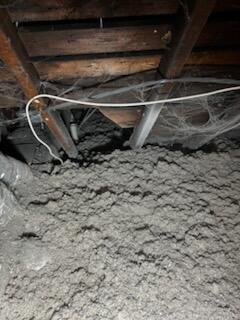 Cellulose Filled Up this Attic