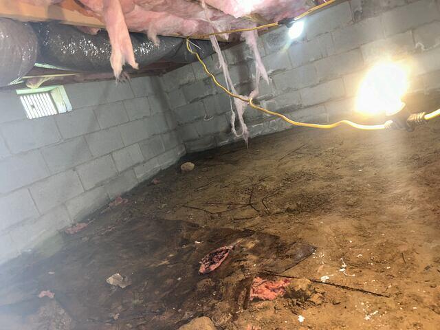Debris Removal