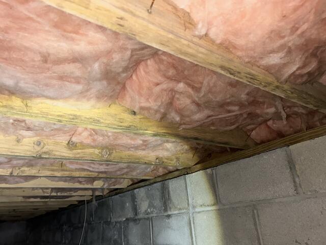 Damaged Insulation