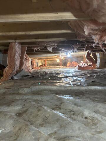 Debris/Falling Insulation