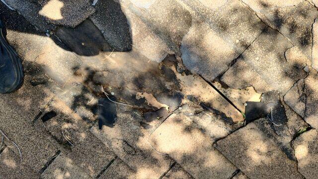 Shingle damage and missing shingles.