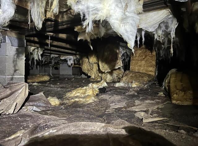 Richland Crawl Space Before
