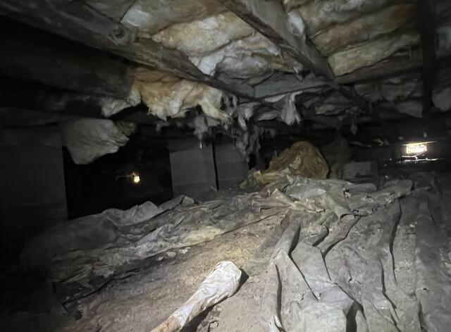 Richland Crawl Space Before