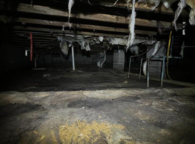 Richland Crawl Space Before