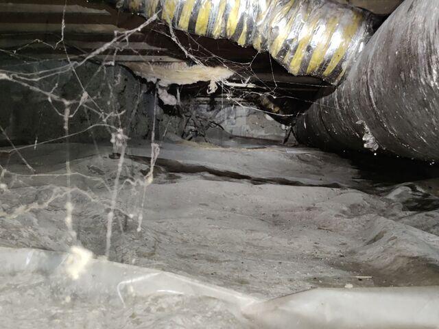Dark and Dingy Crawl Space