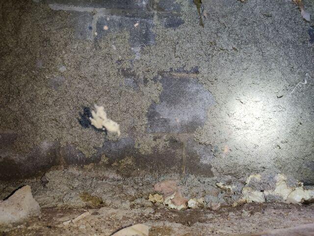 Insulation and Mold