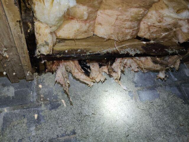 Falling Insulation