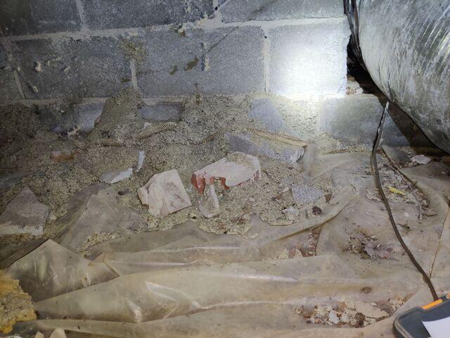 Evidence of Critters