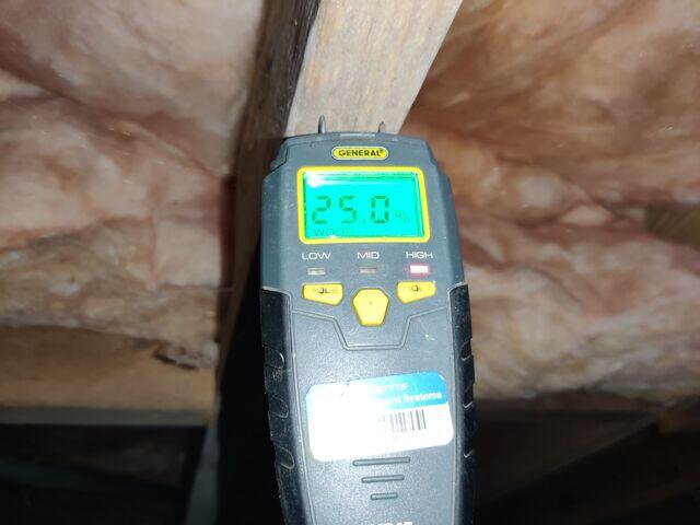 Alarmingly High Wood Moisture