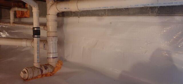 Mold-Resistant Barrier