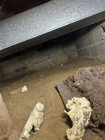 Unprotected Crawl Space