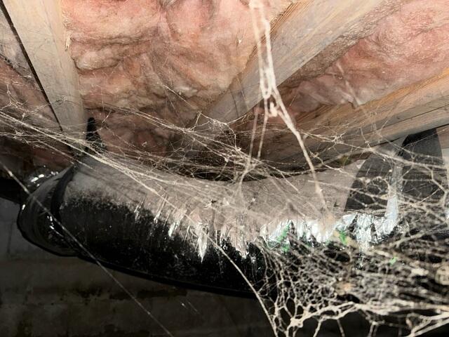 Wet Insulation