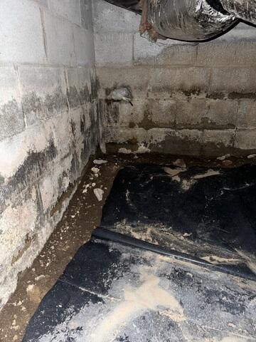 Water Damage