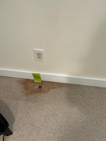 Water Damage Leaking In