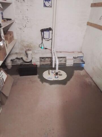 TripleSafe Sump Pump