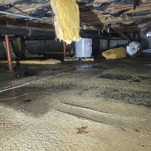 Wet Crawlspace