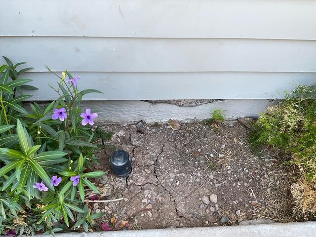Signs of Stem Wall Failure: Flaking Paint in Gilbert, AZ
