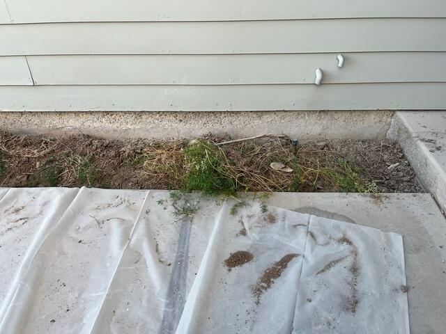 Stem Wall Repair in Gilbert, AZ: Expert Paint Removal and Restoration Process"