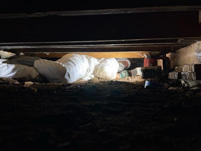 Crawl Space Repair Experts in Williams, AZ - Professional Foundation Solutions