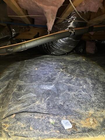 Crawl Space Before Project Starts