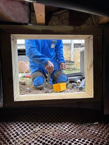 New Framing
