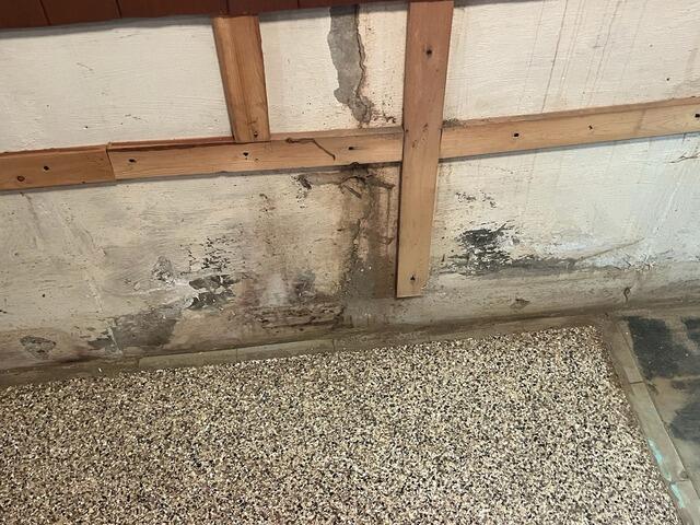 Dampness and Seepage