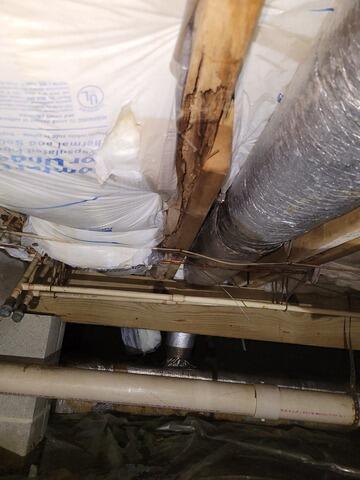 More Wood Rot
