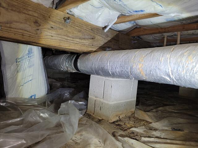Mold at Base of Piers