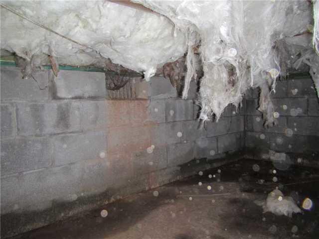 Fiberglass Insulation Isn't the Best Choice