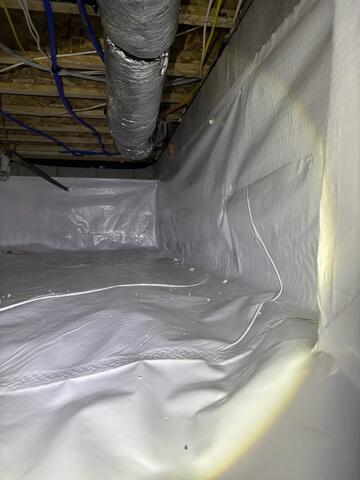 CleanSpace®