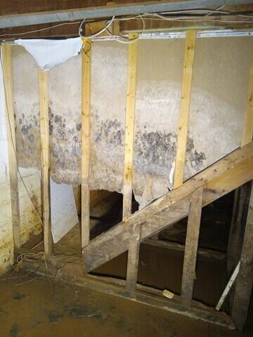 Mold