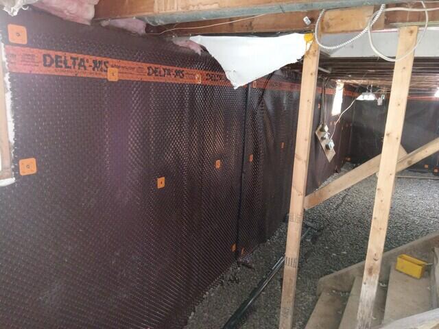 Wall membrane