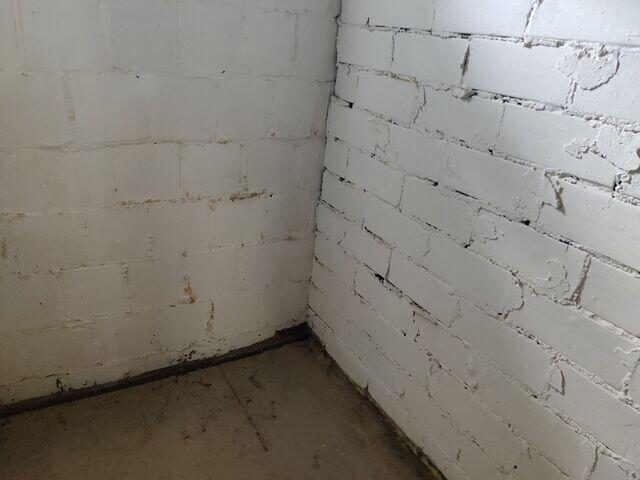 Wall Seepage