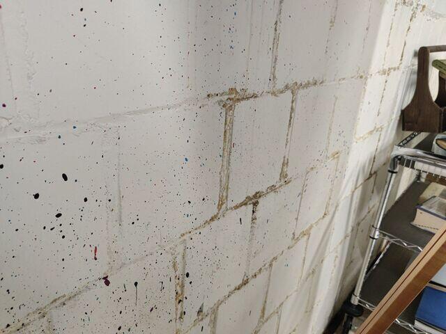 Mold Growth