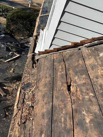Damaged Wood