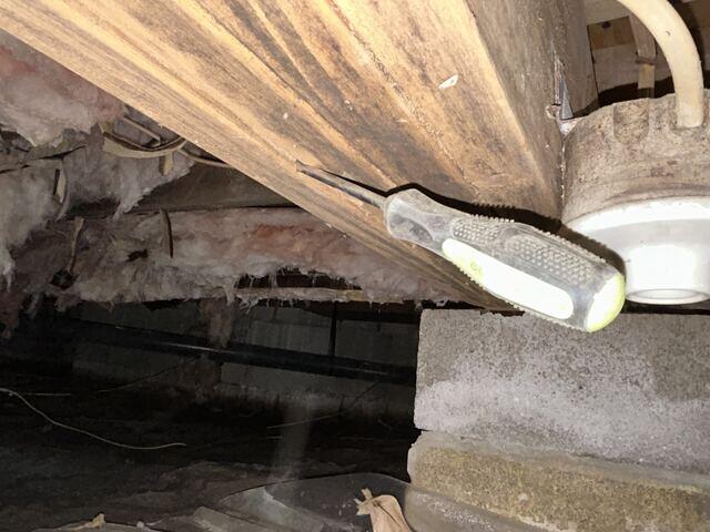Soft Rotten Wood
