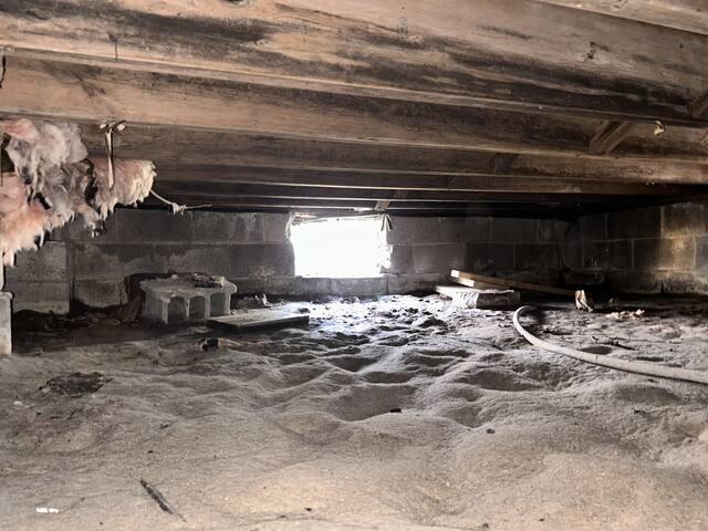Debris Removal