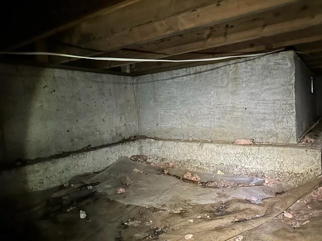 Pieces of Old Fiberglass