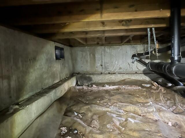 Damp to the Touch Walls